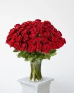 50 Premium Red Roses in Vase