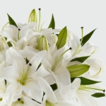 Heartfelt Blessings Bouquet - Image 4