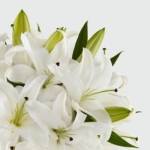 Heartfelt Blessings Bouquet - Image 11