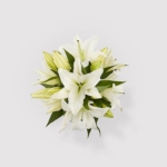 Heartfelt Blessings Bouquet - Image 7