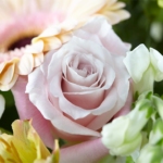 Serene Whispers Vase Arrangement - Image 9