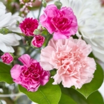 Serene Whispers Vase Arrangement - Image 6