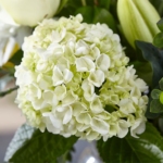 Timeless Grace Bouquet - Image 10