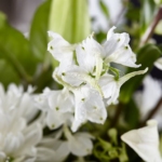 Timeless Grace Bouquet - Image 6