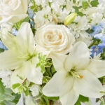 Radiant Harmony Vase Arrangement - Image 4