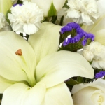 Luminous Bliss Vase Arrangement - Image 5
