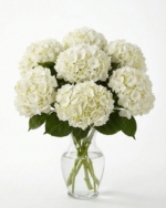 White Hydrangeas Bouquet In A Vase