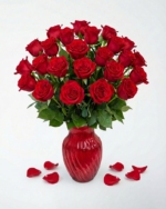 24 Red Roses in a Red Vase