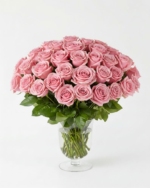 50 Pink Roses in Vase