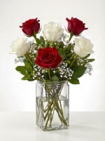 6 Red and White Roses in a Vase