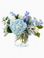 Blue Skies & Bright Wishes Bouquet (5)