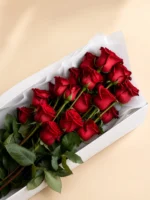 24 Premium Red Roses in a Box