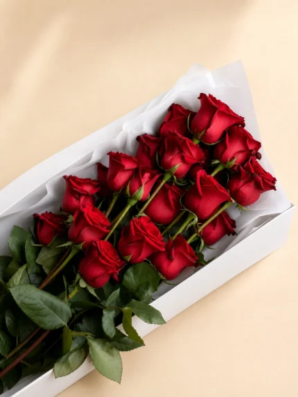 24 Premium Red Roses in a Box