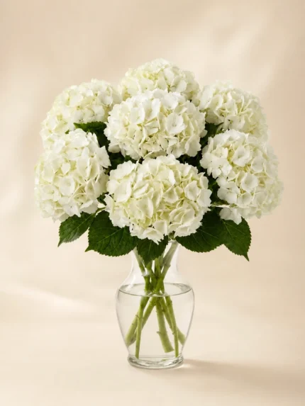 White Hydrangea Bouquet in a Vase