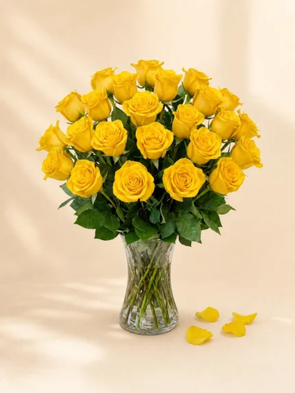 24 Yellow Roses in a Vase