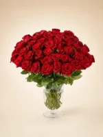 50 Premium Red Roses in a Vase
