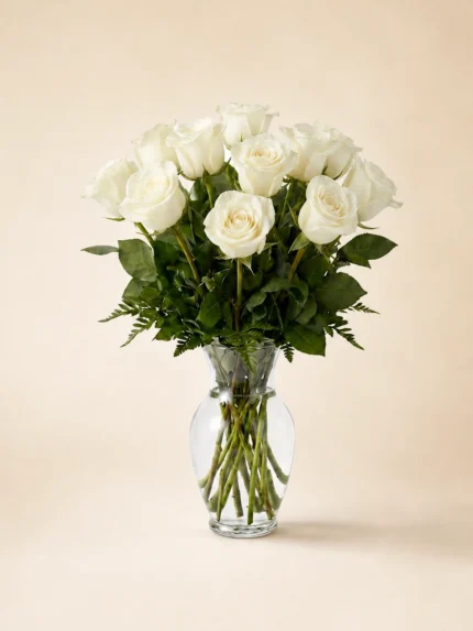 12 Premium White Roses in a Vase