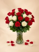 24 Red and White Roses in a Vase