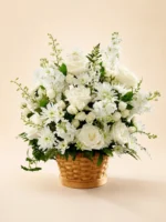 White Basket
