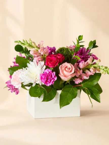 Sweet Lavender Bloom Box