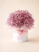 Pink Baby’s Breath Flower Box