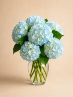 Blue Hydrangeas in a Vase