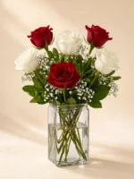 6 Red and White Roses in a Vase
