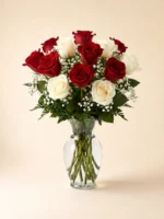 12 Red and White Roses in a Vase