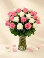 24 Pink and White Roses in a Vase