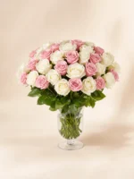 50 Pink and White Roses in a Vase