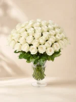 50 White Roses in a Vase