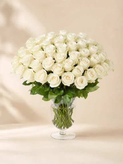 50 White Roses in a Vase