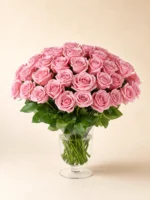 50 Pink Roses in a Vase